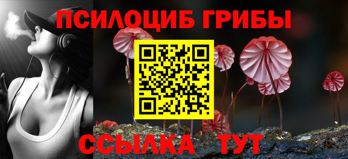 купить наркотик  Вход с VPN  Псилоцибиновые грибы MAGIC MUSHROOMS  Гусь-Хрустальный  Галлюциногенные грибы мицелий 